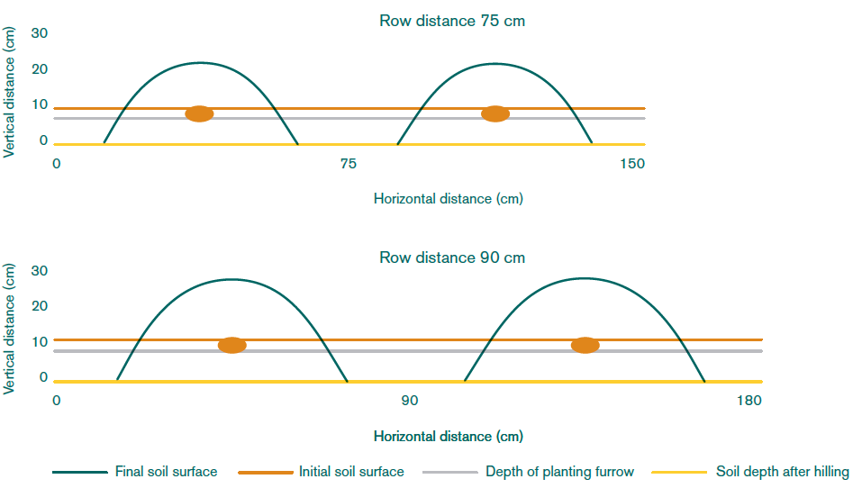 Potato planting methods and systems